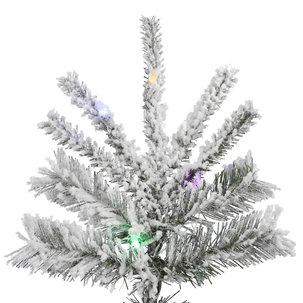 6.5' Flocked Sierra Fir Slim Artificial Xmas Tree Colored LED Dura-Lit lights