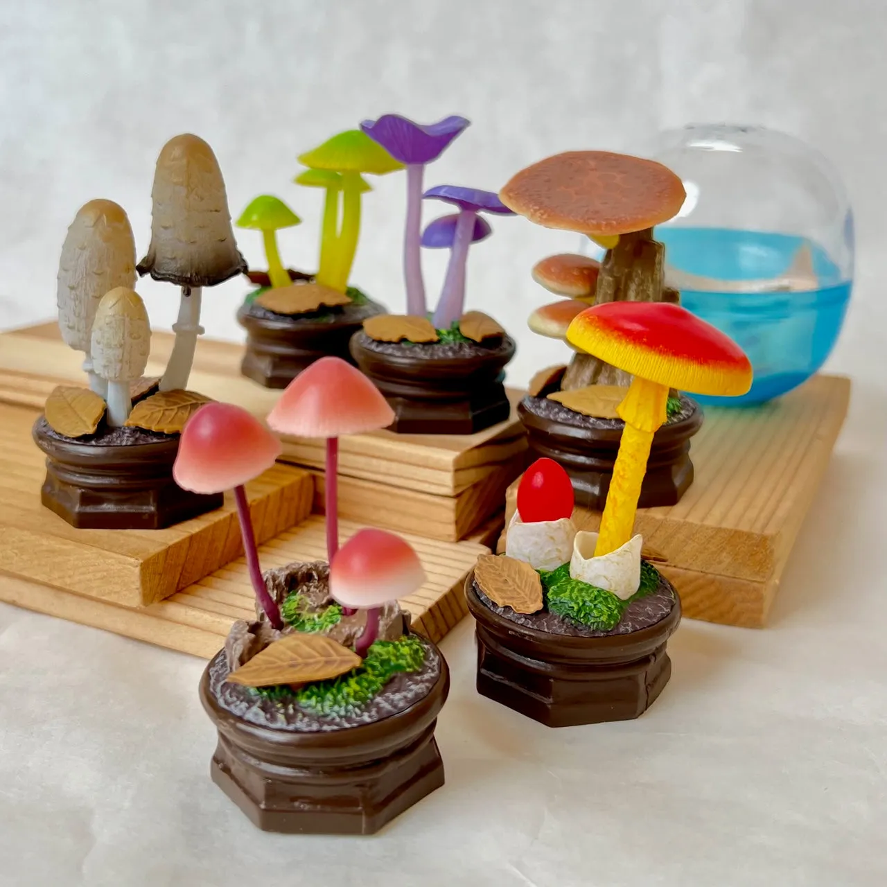 70219 Mushroom Vol. 2 Figurine Capsule-6