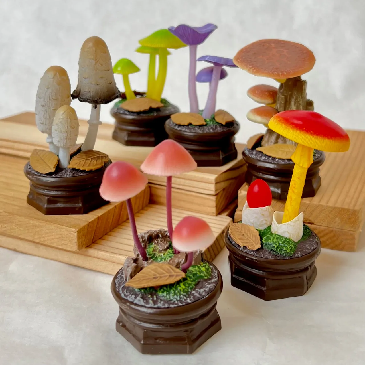 70219 Mushroom Vol. 2 Figurine Capsule-6