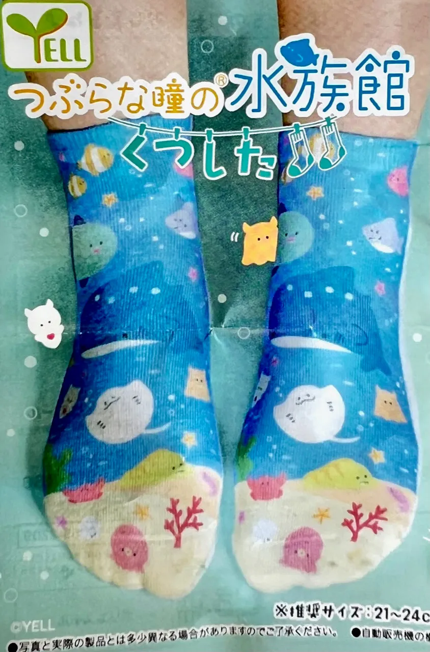 70225 Aquarium Socks Capsule-5