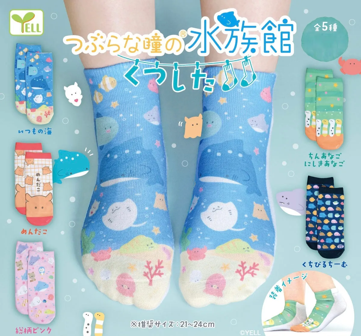 70225 Aquarium Socks Capsule-5