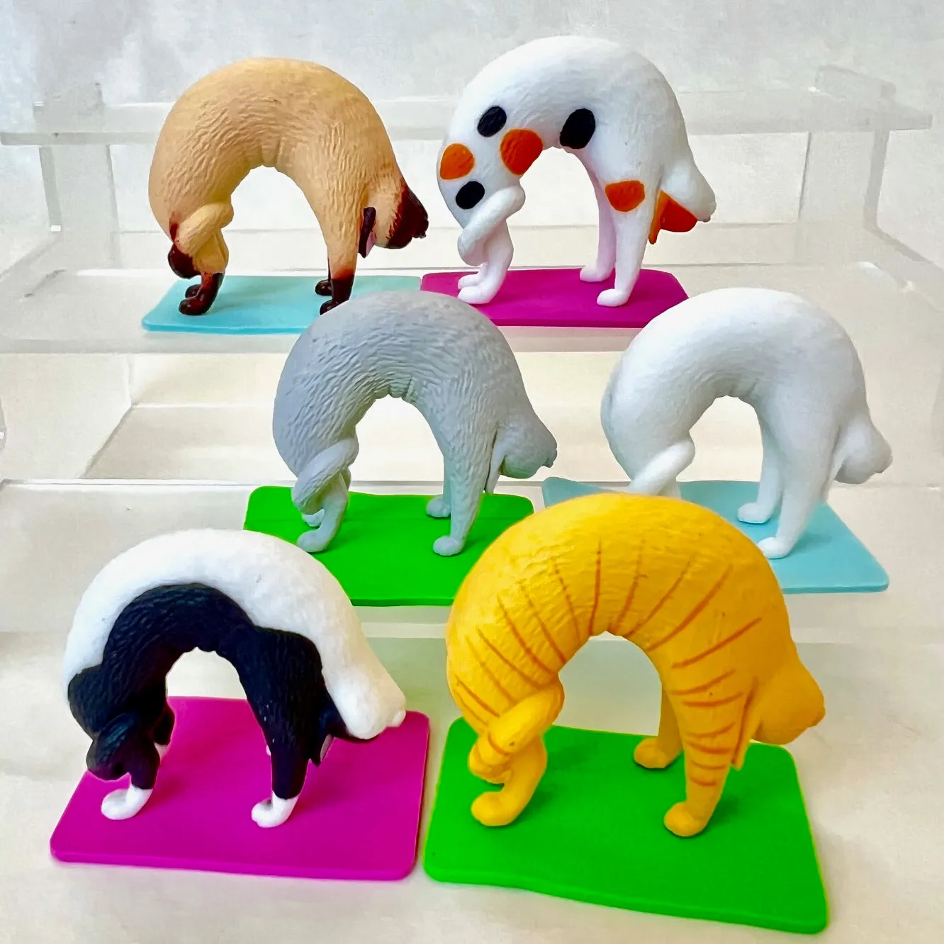 70304 Acrobatic Cats Figurines Capsule-6