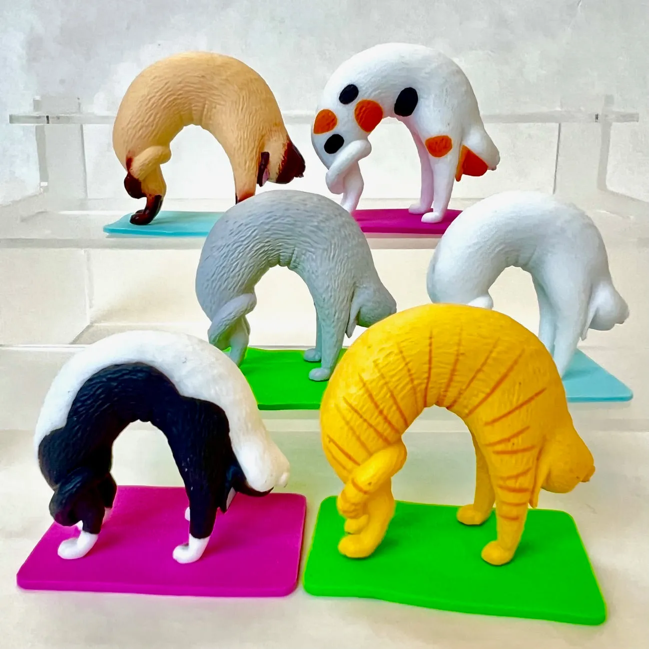 70304 Acrobatic Cats Figurines Capsule-6