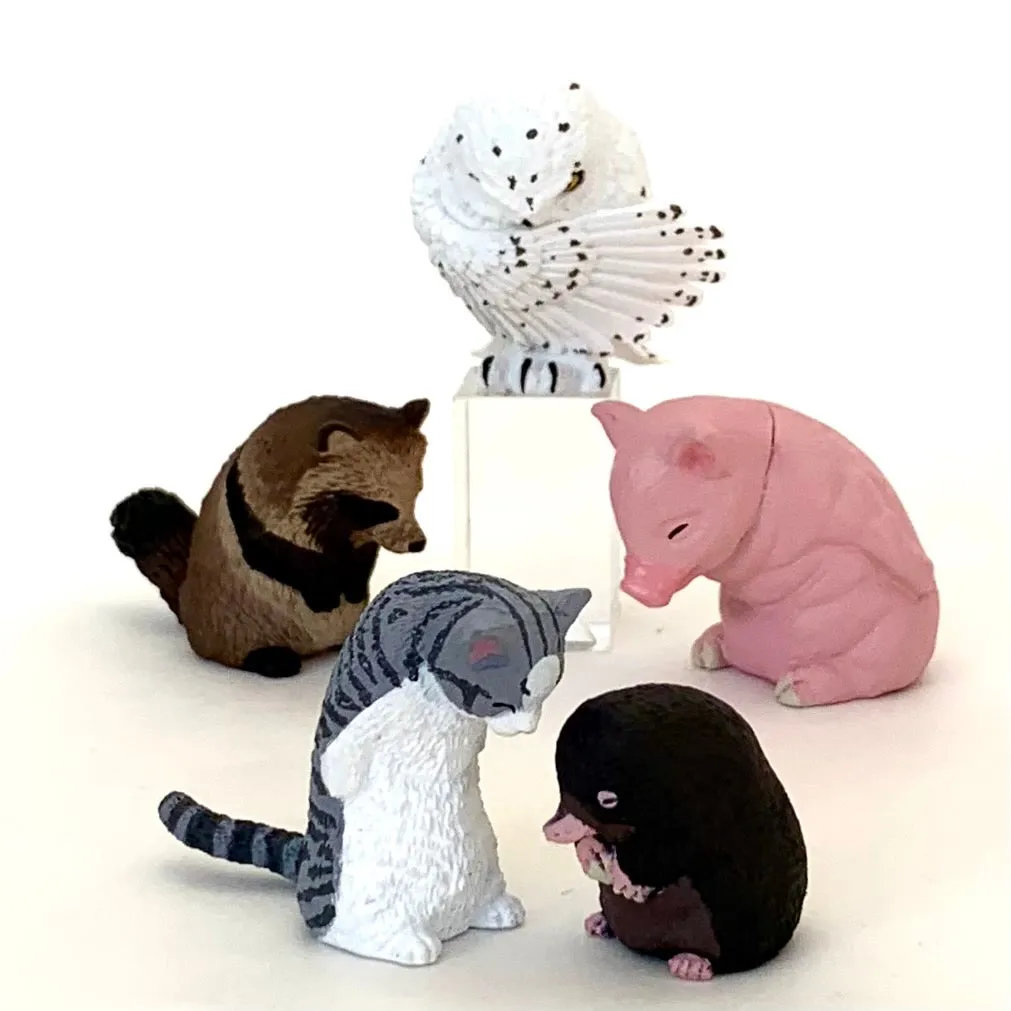 70846 BOWING ANIMALS CAPSULE-5