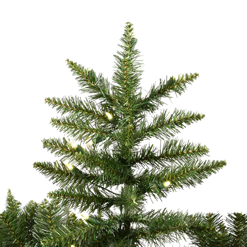 7.5' x 55" Camdon Fir Artificial Christmas Tree with Warm White Dura-lit LED