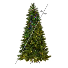 9' x 57" Brighton Pine Artificial Christmas Tree LED Color Changing Lights