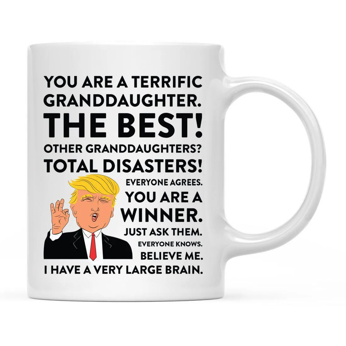 Andaz Press 11oz President Donald Trump Family Terrific Part 2 Coffee Mug