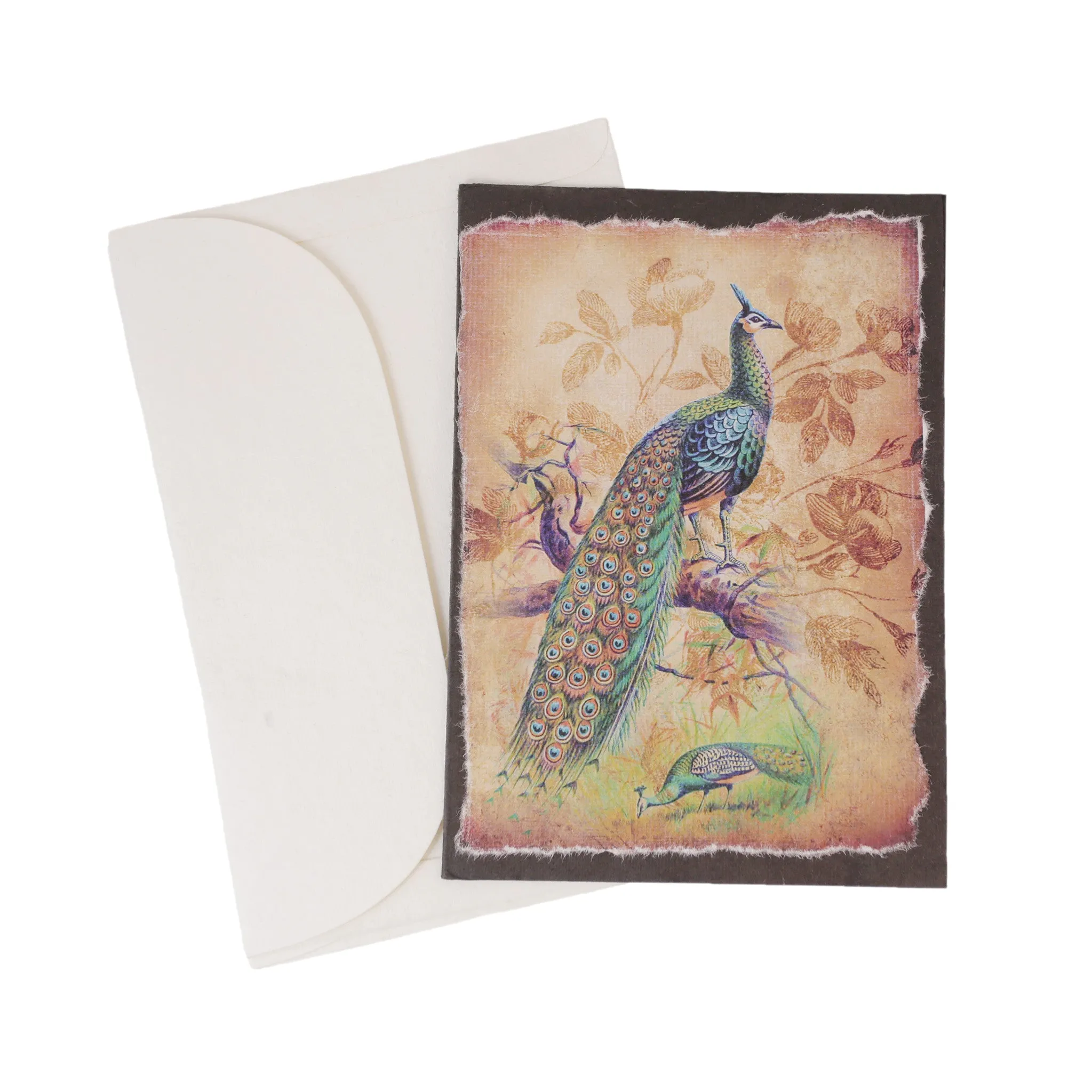 Bird note card set