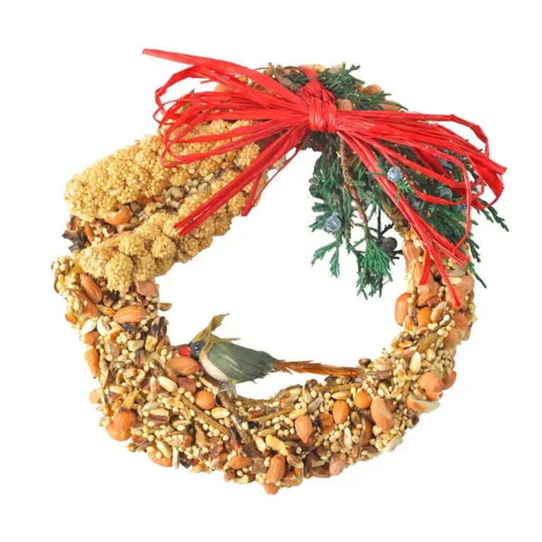 Mr. Bird Extra Small Wreath