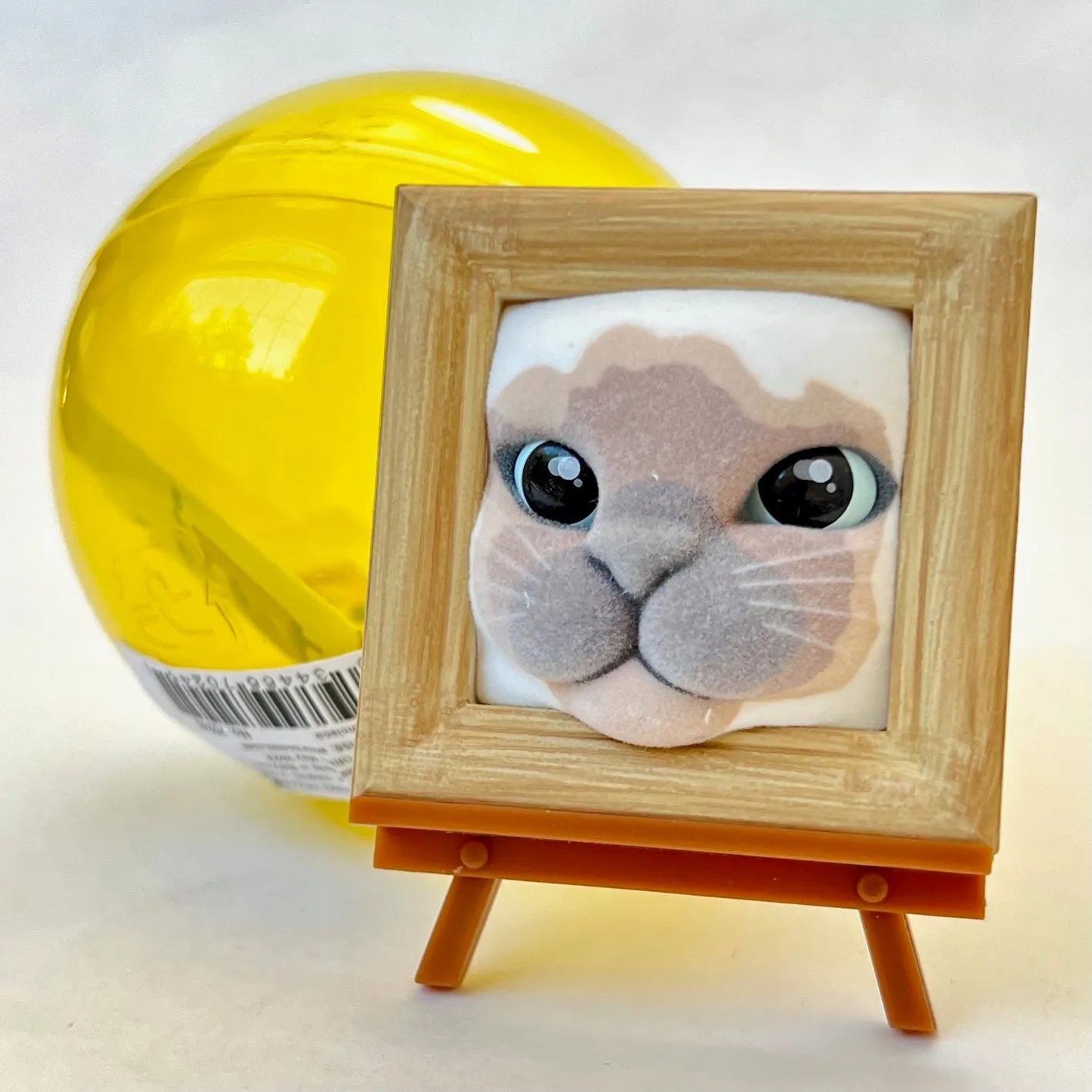 X 70245 Cat Frame Figurine Capsule-DISCONTINUED