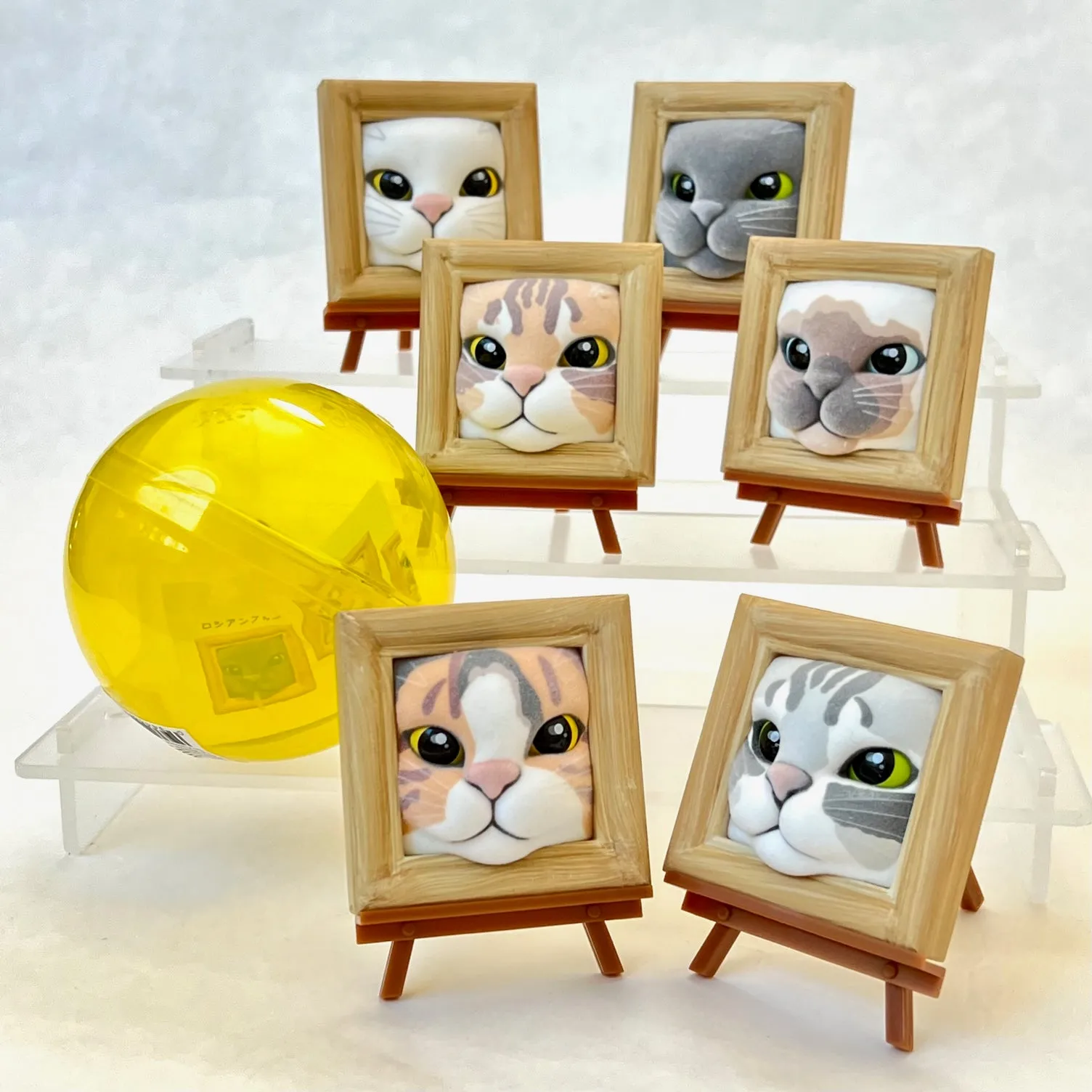 X 70245 Cat Frame Figurine Capsule-DISCONTINUED